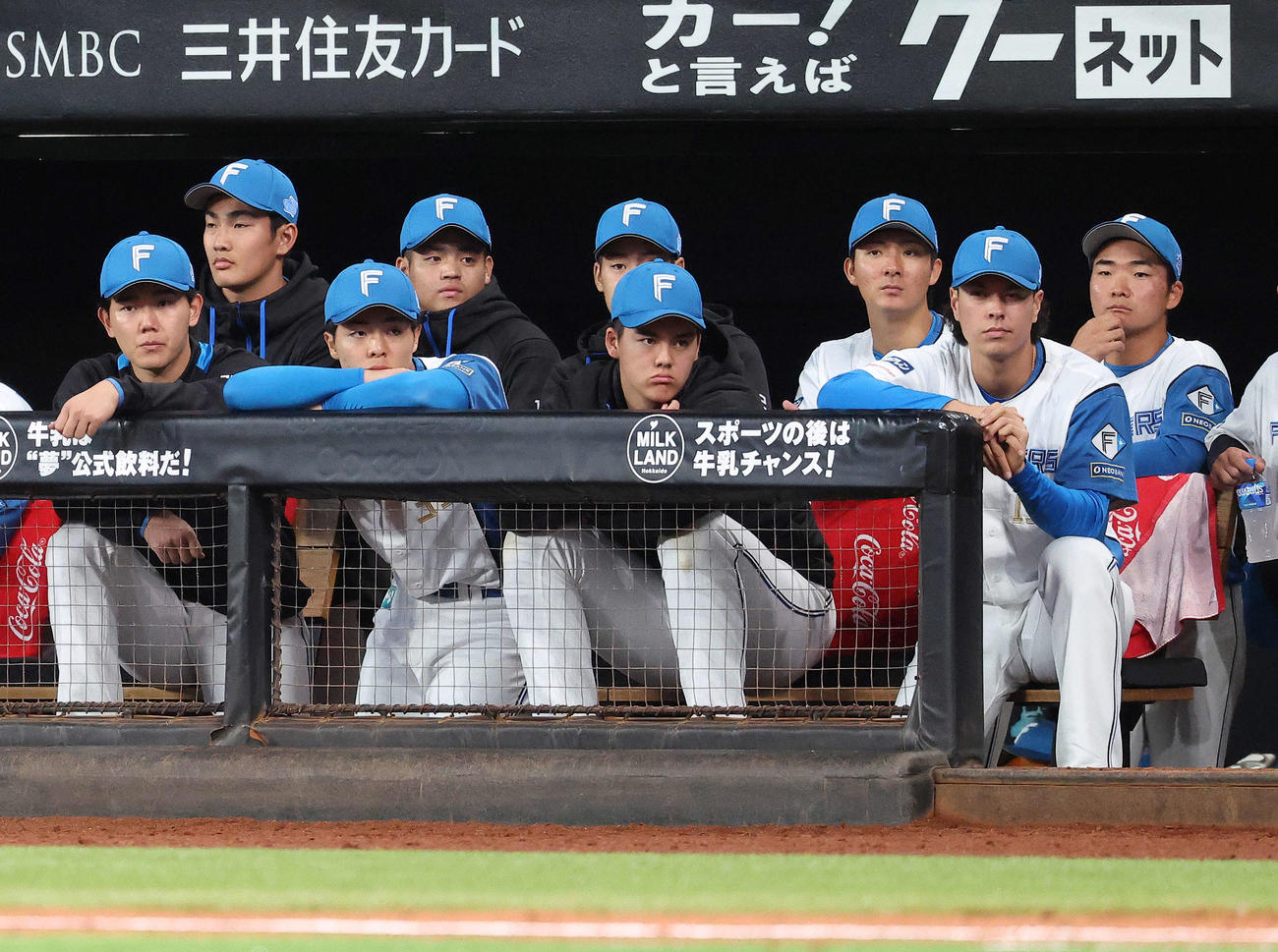 日本ハム対中日　9回裏、戦況を見守る柴田（手前左）ら日本ハムナイン（撮影・河田真司）