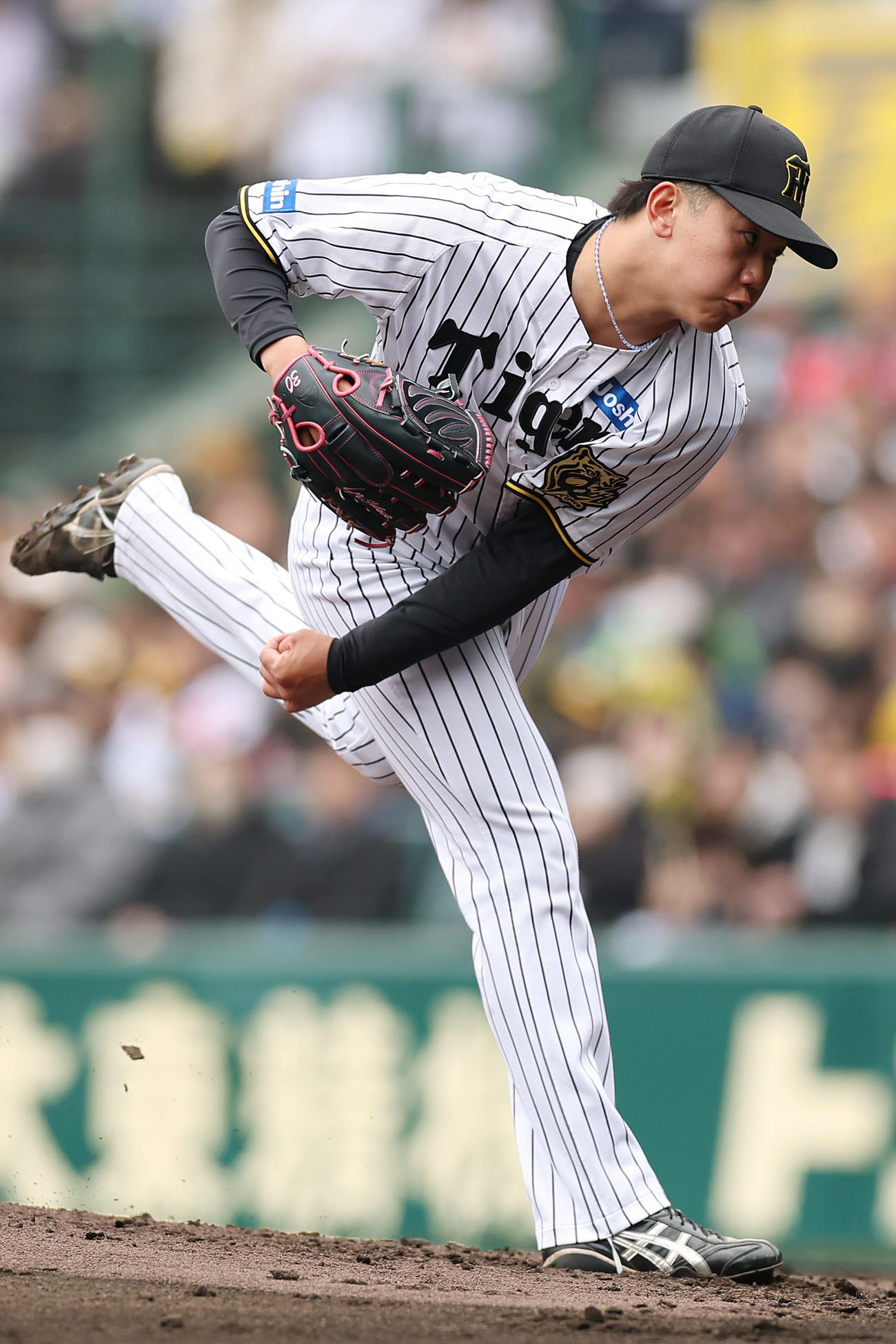 阪神対DeNA　力投する阪神先発の門別（撮影・前田充）