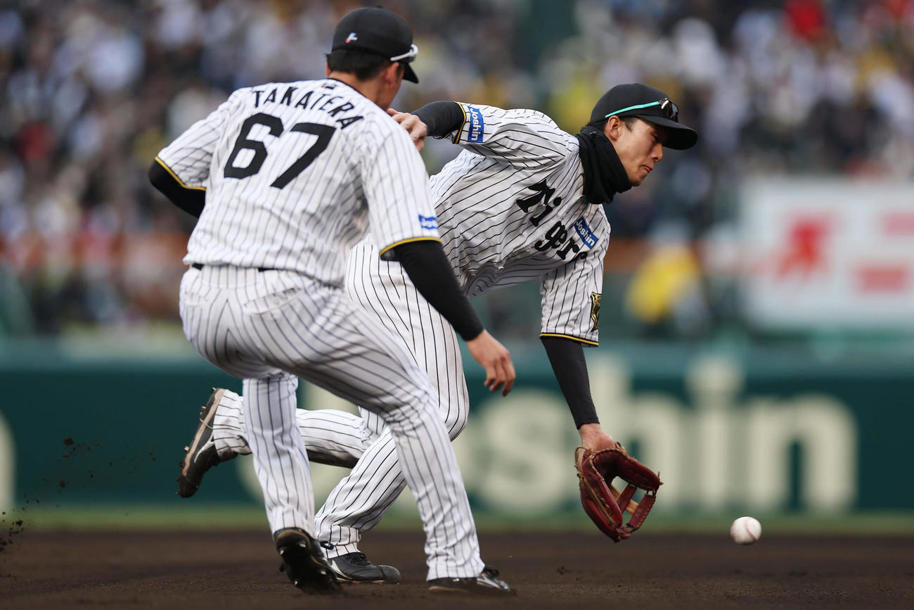 阪神対DeNA 8回表DeNA無死一塁、蝦名の打球を後逸する遊撃手小幡。左は三塁手高寺（撮影・前田充）