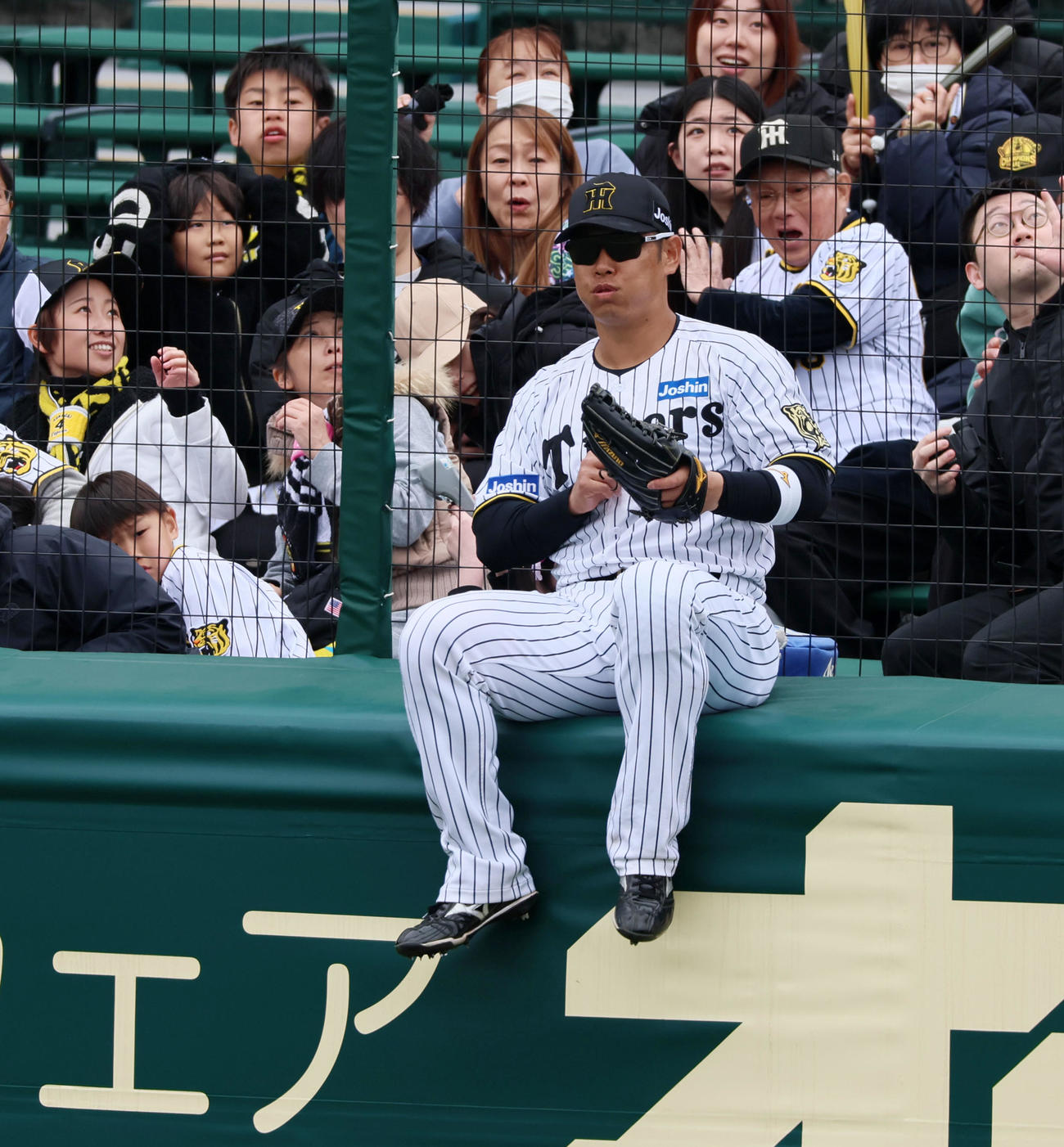 阪神対DeNA 3回表DeNA無死、石上の邪飛を追ったが捕球出来ず勢い余ってラバーフェンスに腰を掛ける原口（撮影・加藤哉）