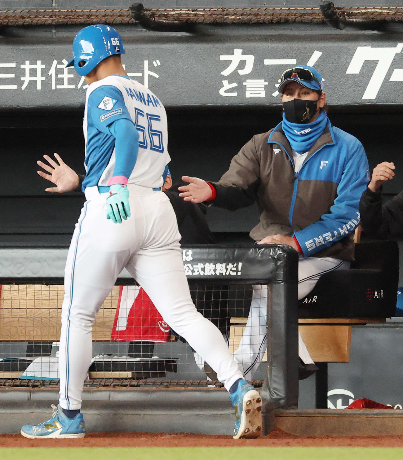 日本ハム対中日　2回裏日本ハム1死一、三塁、吉田の右前適時打で生還する万波（左）を迎える新庄監督（撮影・河田真司）