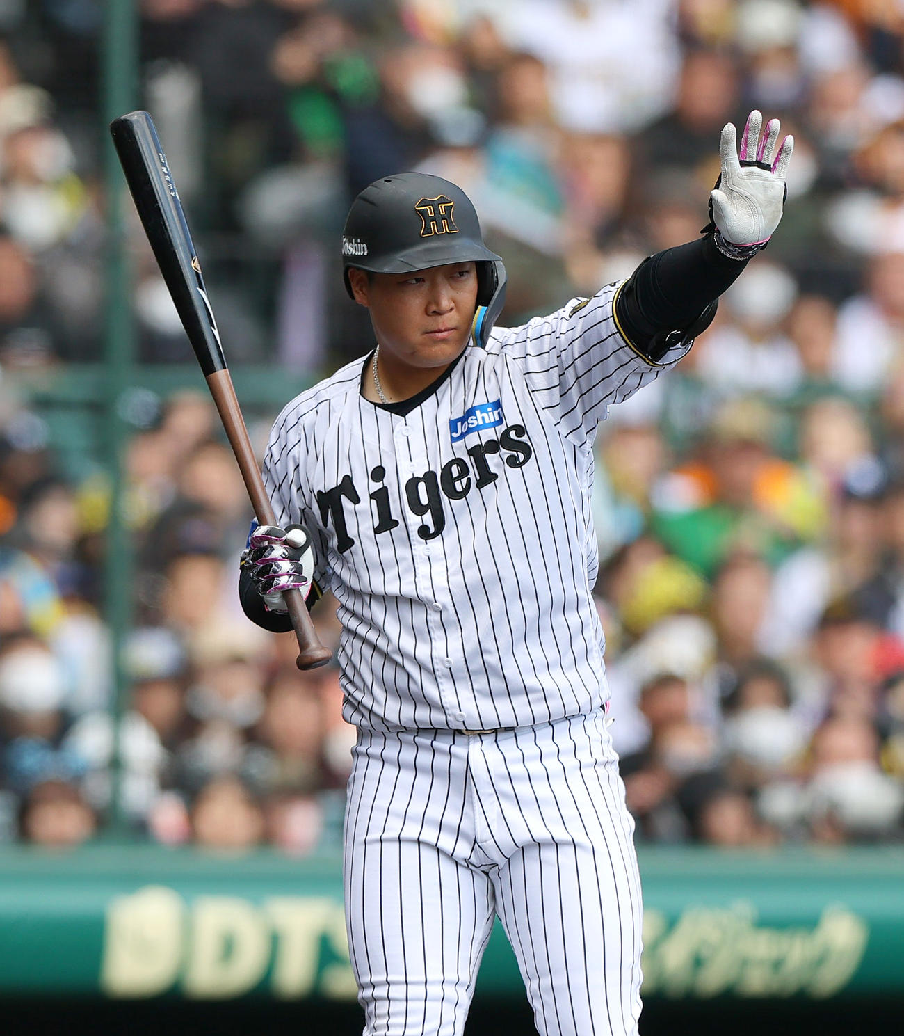 オープン戦・阪神対巨人　2回表阪神無死一塁、大山は一走森下に合図する（撮影・上山淳一）