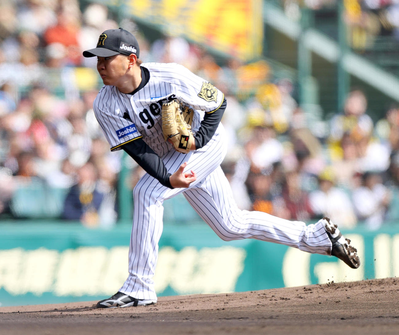 オープン戦・阪神対巨人　阪神先発の西勇（撮影・上山淳一）