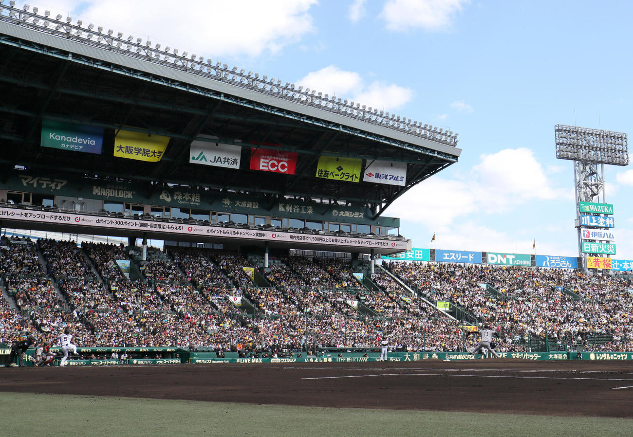 オープン戦・阪神対巨人　1回表阪神無死、近本を相手に投球する巨人先発の田中将（撮影・上山淳一）