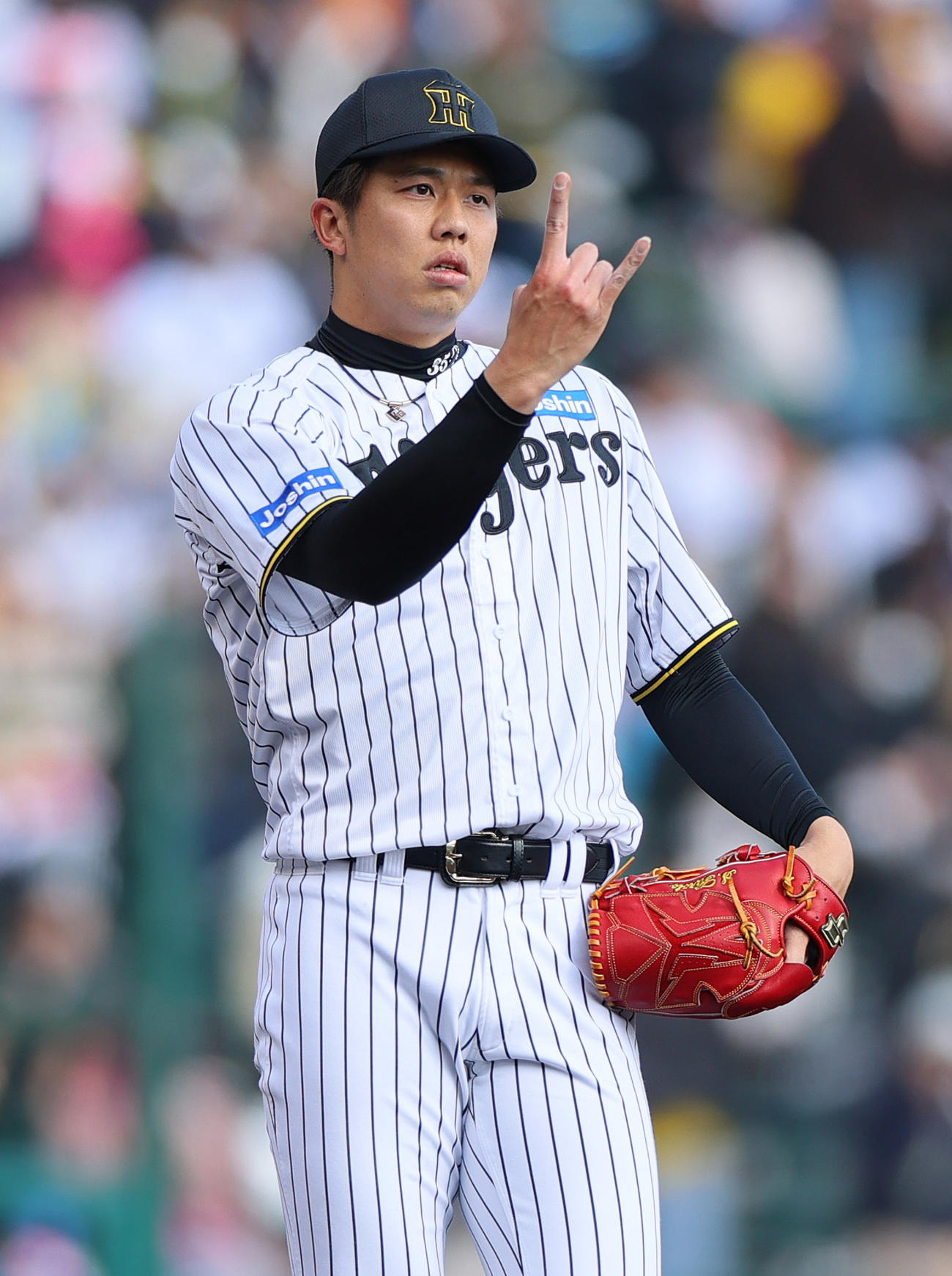 オープン戦・阪神対巨人　6回表、阪神才木は野手とカウントを確認する（撮影・上山淳一）