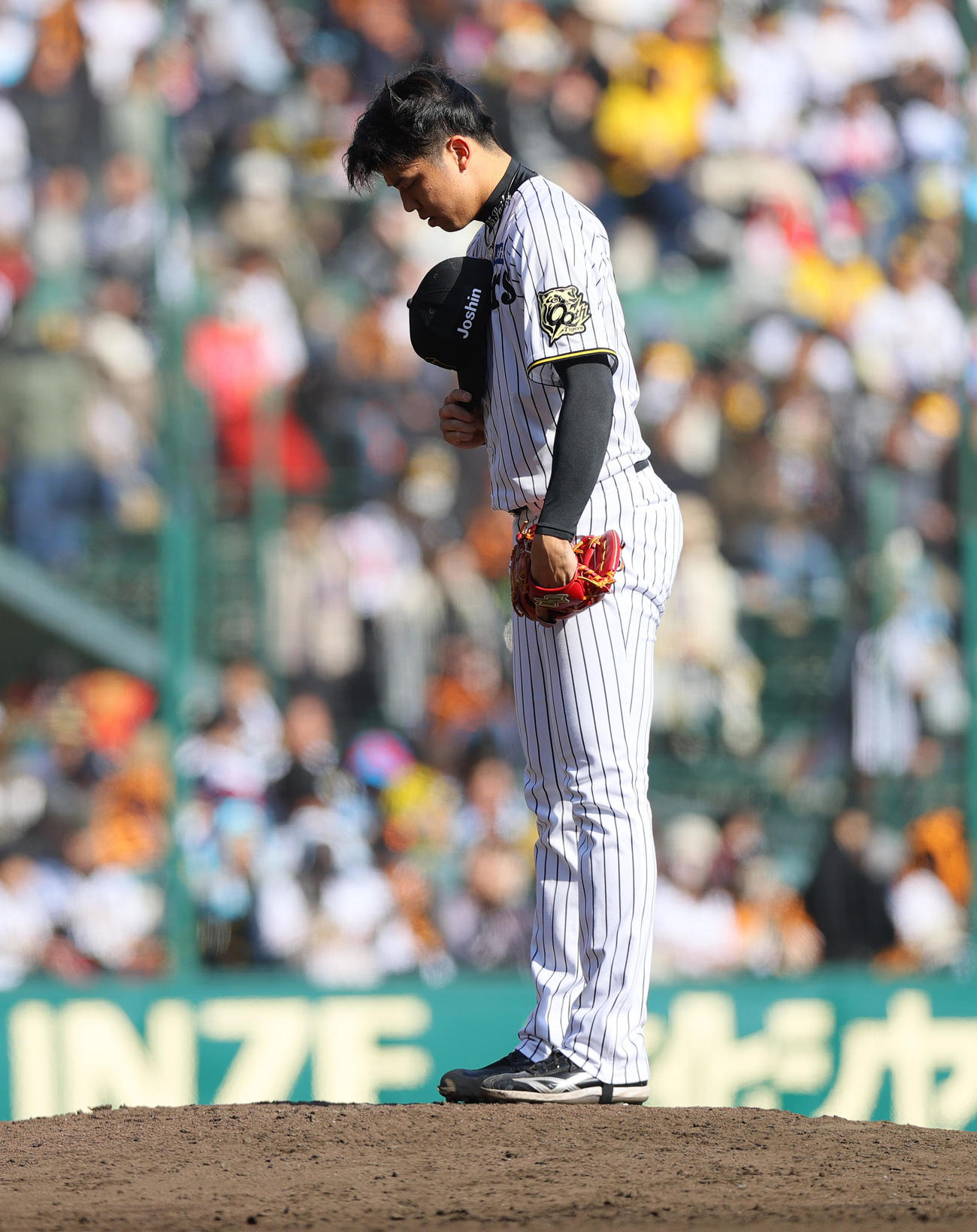オープン戦・阪神対巨人　6回表のマウンドに立つ阪神才木（撮影・上山淳一）