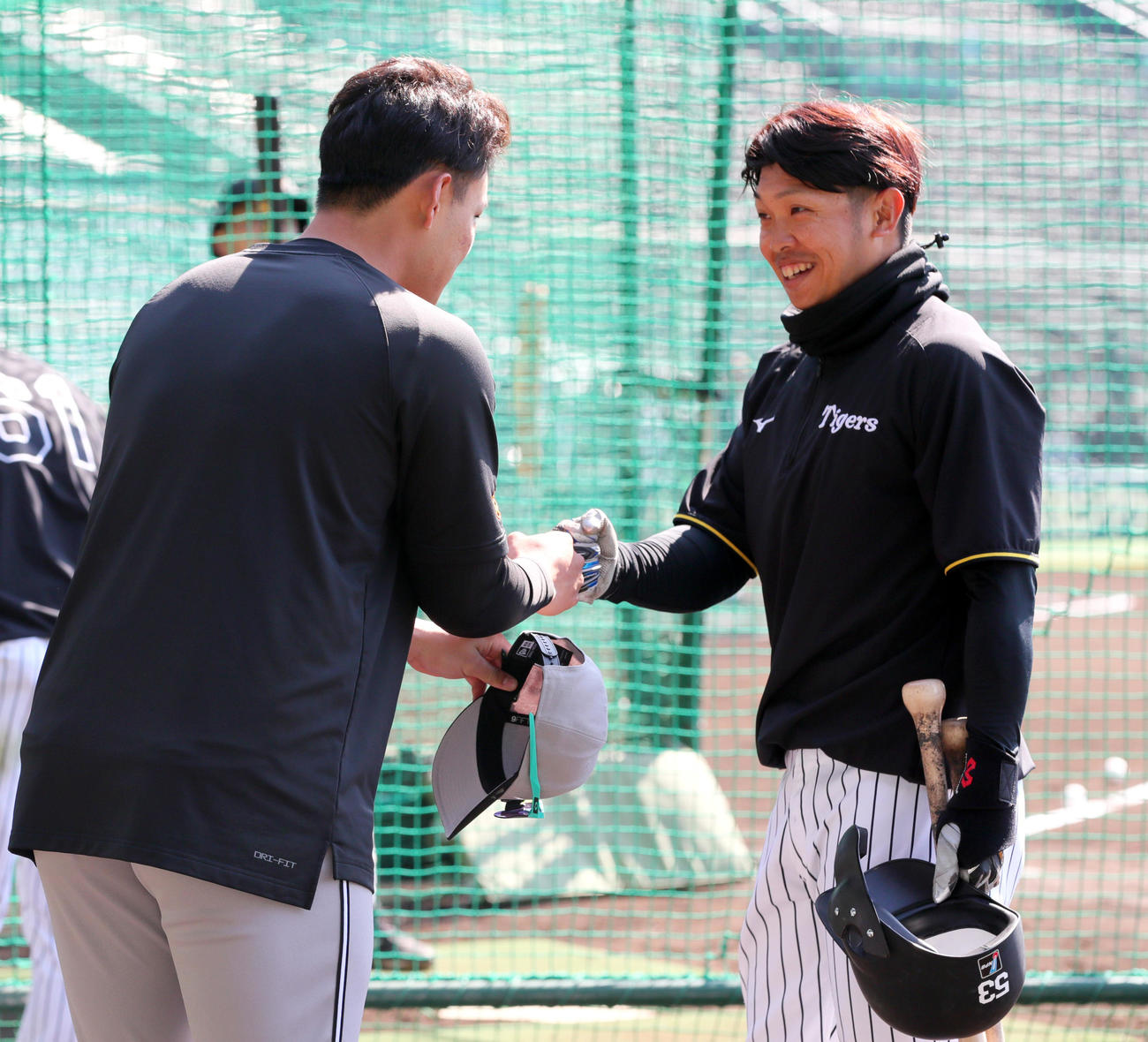 オープン戦・阪神対巨人　試合前、阪神島田（右）とあいさつをかわす巨人荒巻（撮影・上山淳一）