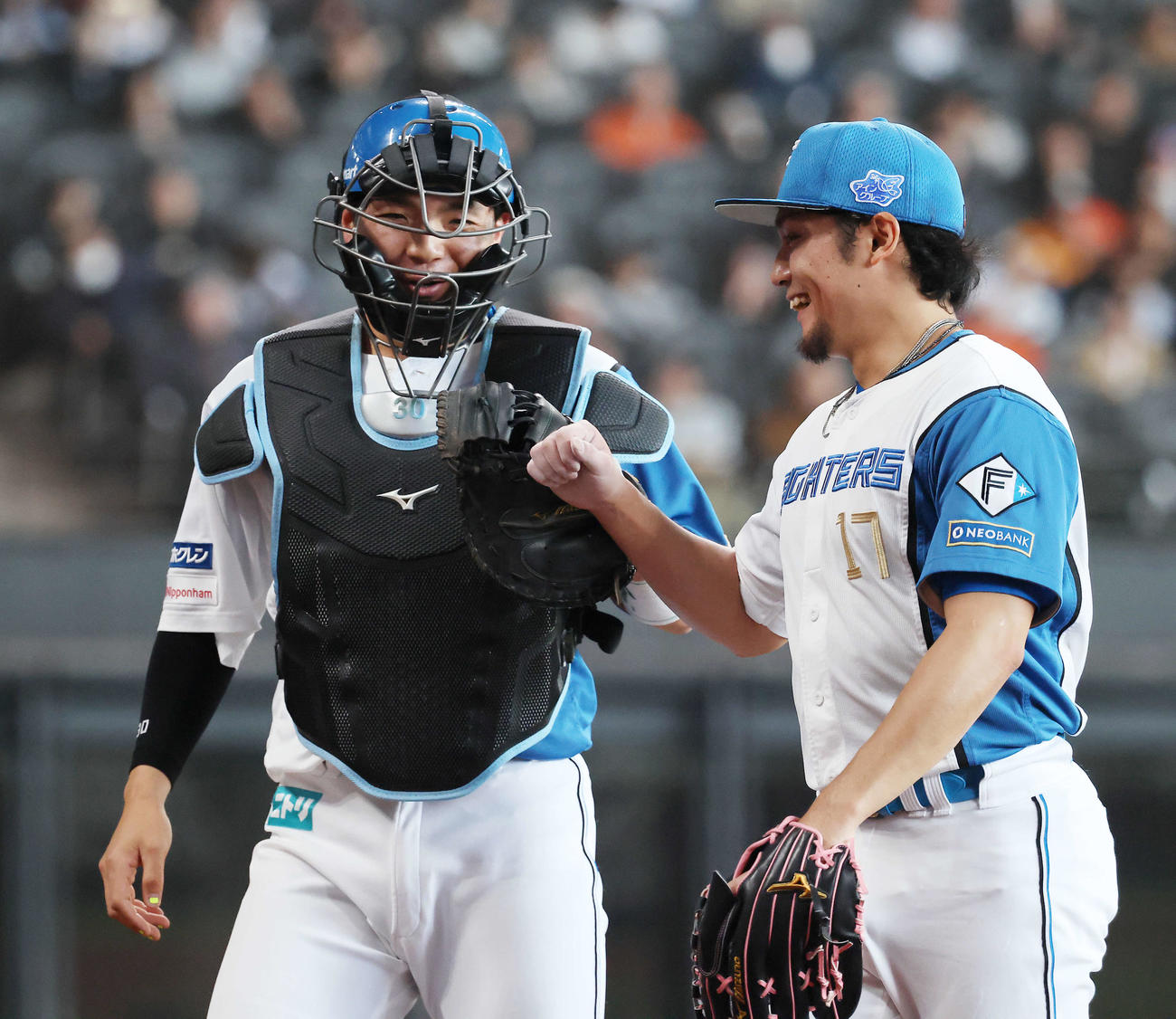 日本ハム対中日　7回表を抑え郡司（左）とタッチを交わす伊藤（撮影・河田真司）