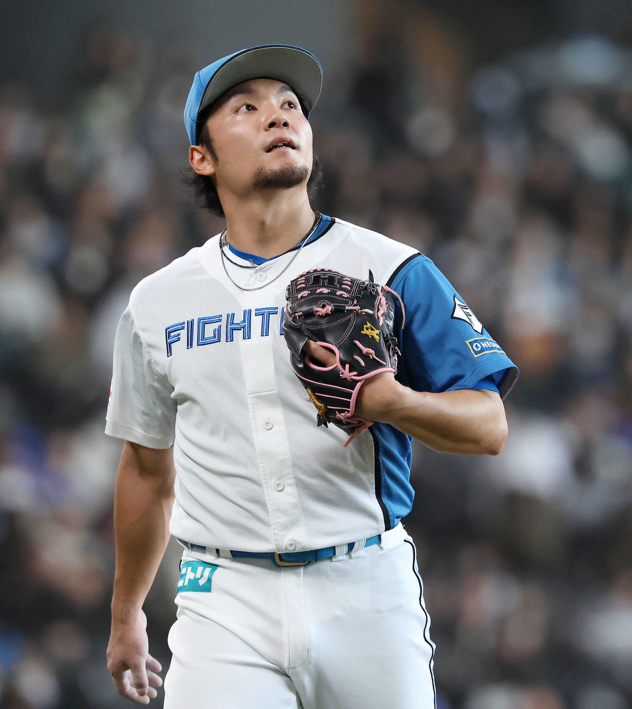 日本ハム対中日　6回表を抑える伊藤（撮影・河田真司）
