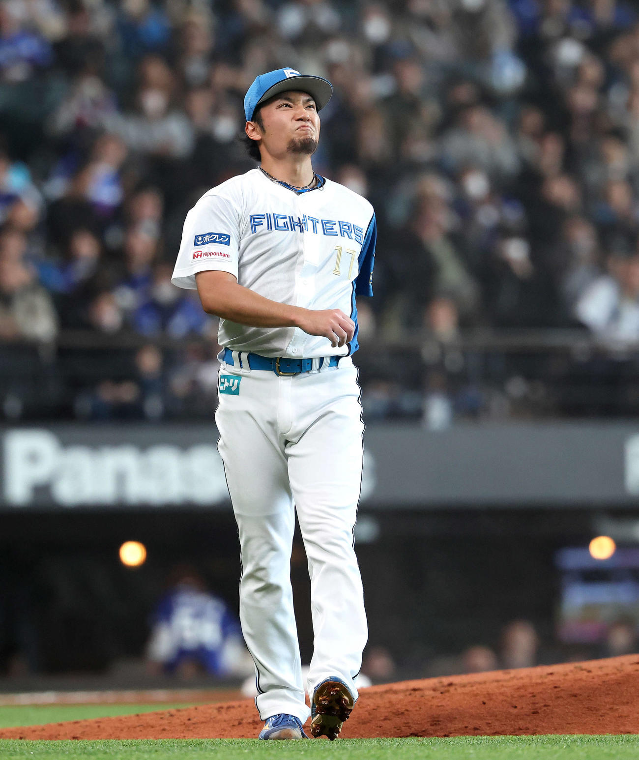 日本ハム対中日　6回表を抑える伊藤（撮影・河田真司）
