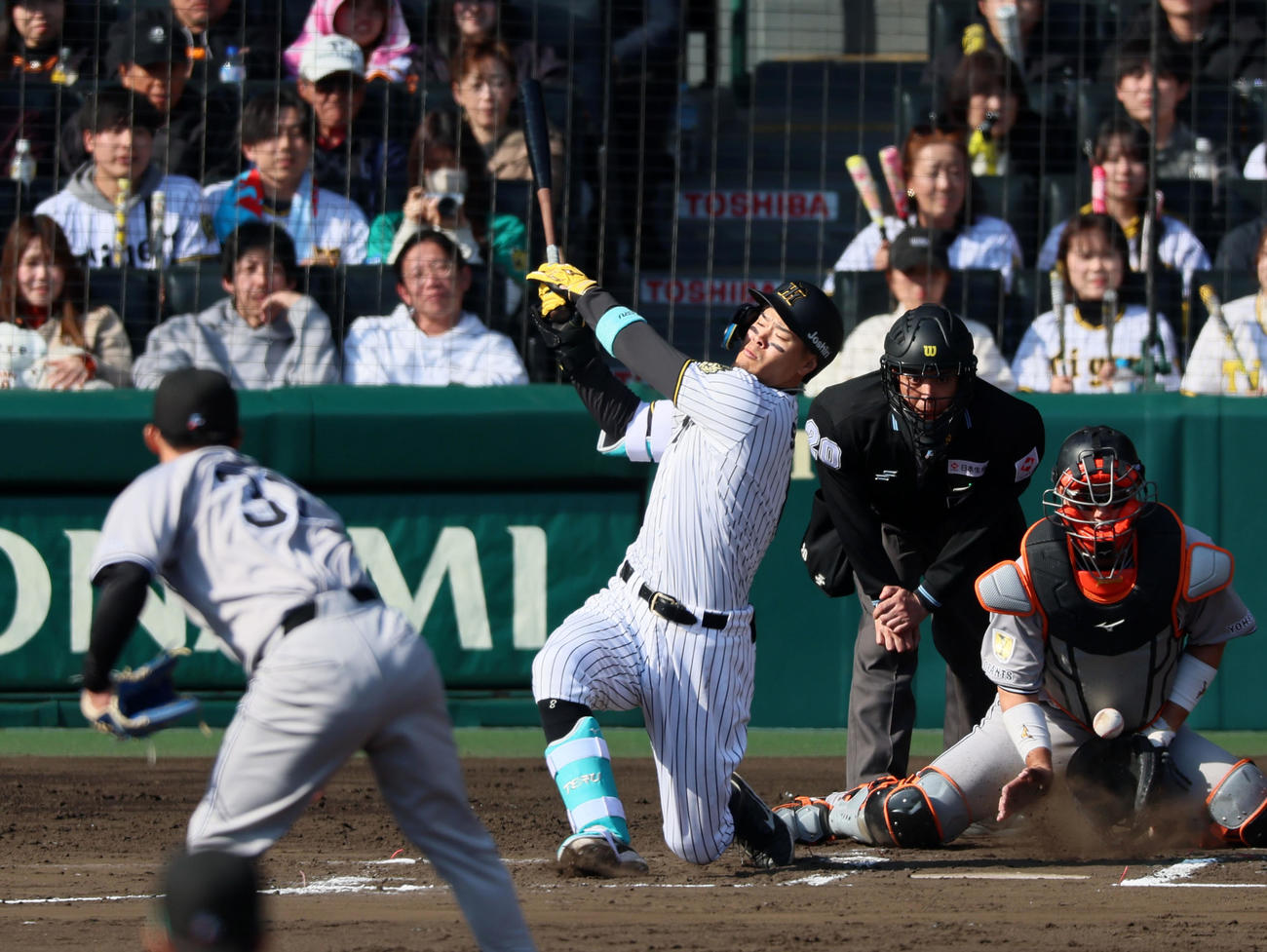 阪神対巨人　6回裏阪神1死一、二塁、三振に倒れる佐藤輝。投手赤星（撮影・加藤哉）