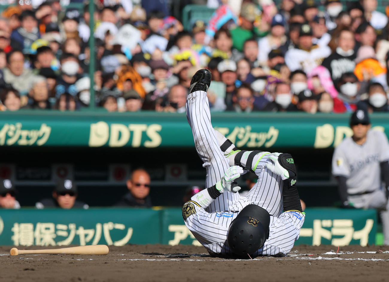 オープン戦・阪神対巨人　7回裏阪神1死三塁、自打球で倒れる木浪（撮影・上山淳一）