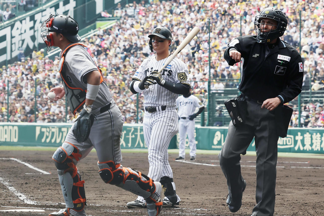 阪神対巨人　2回裏阪神2死、見逃し三振に倒れた前川（中央）（撮影・前田充）