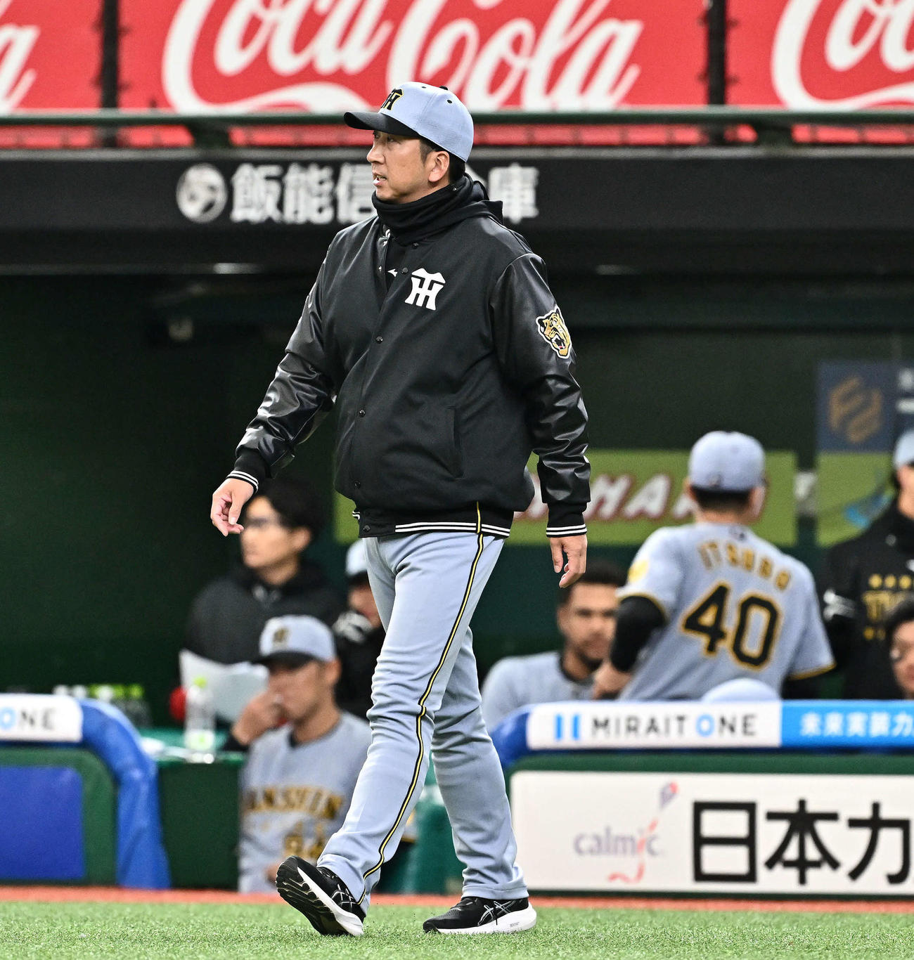 西武対阪神　交代を告げる阪神藤川監督（撮影・滝沢徹郎）