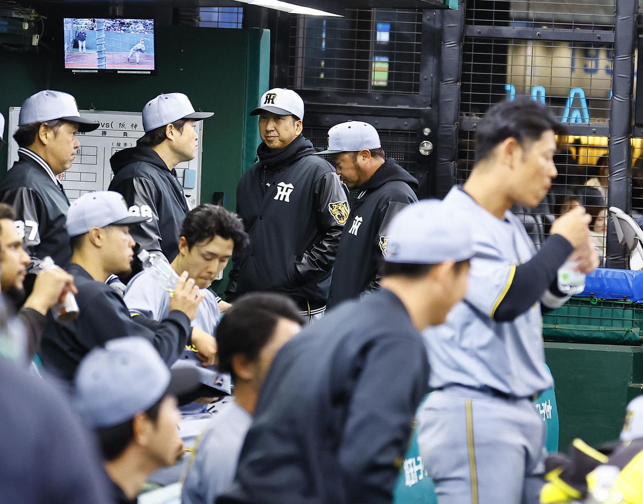 西武対阪神　8回、交代を告げベンチに戻った阪神藤川監督（奥中央）（撮影・藤尾明華）