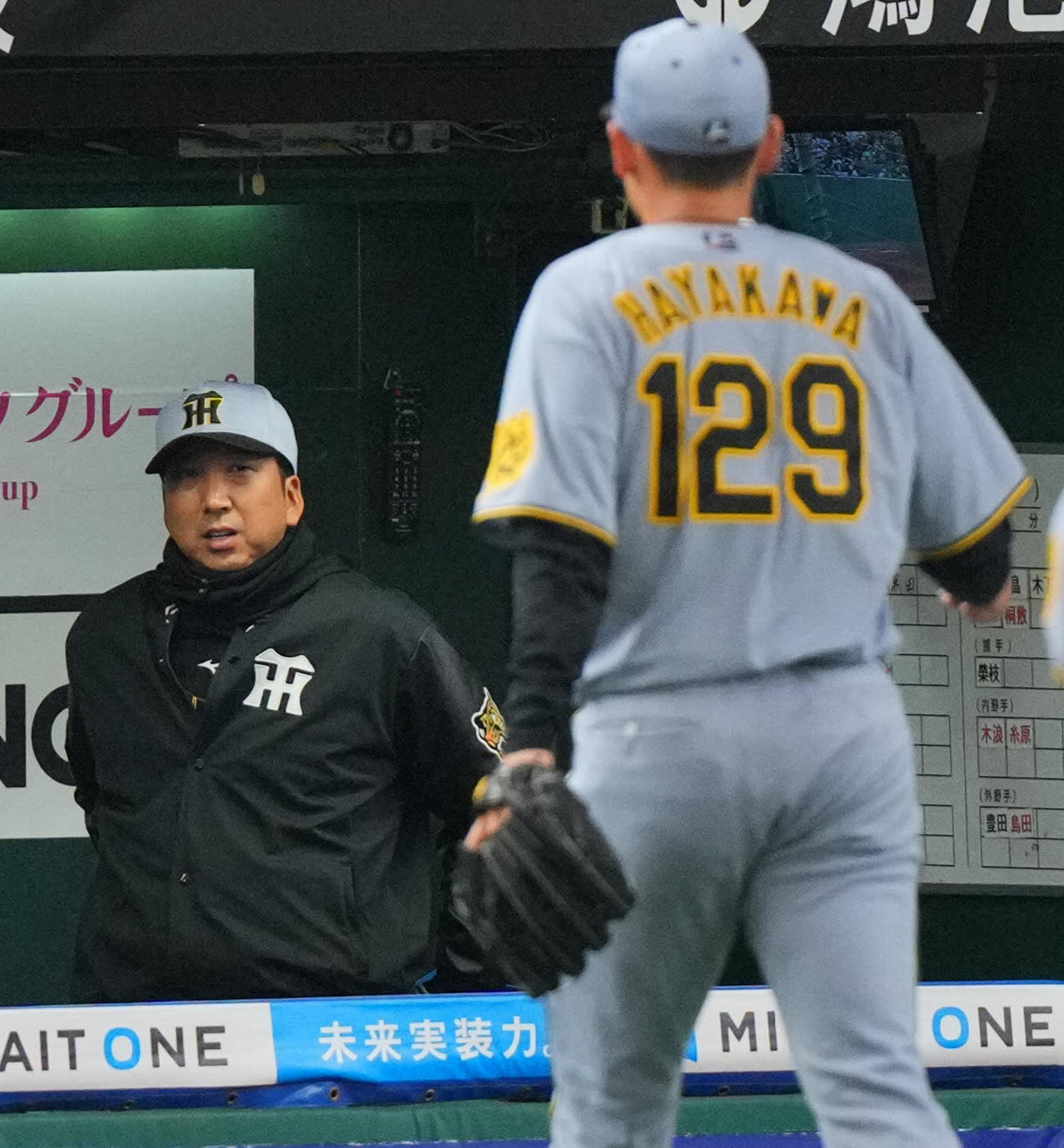西武対阪神　7回裏の登板を終えた阪神早川（手前）を見つめる藤川監督（撮影・垰建太）