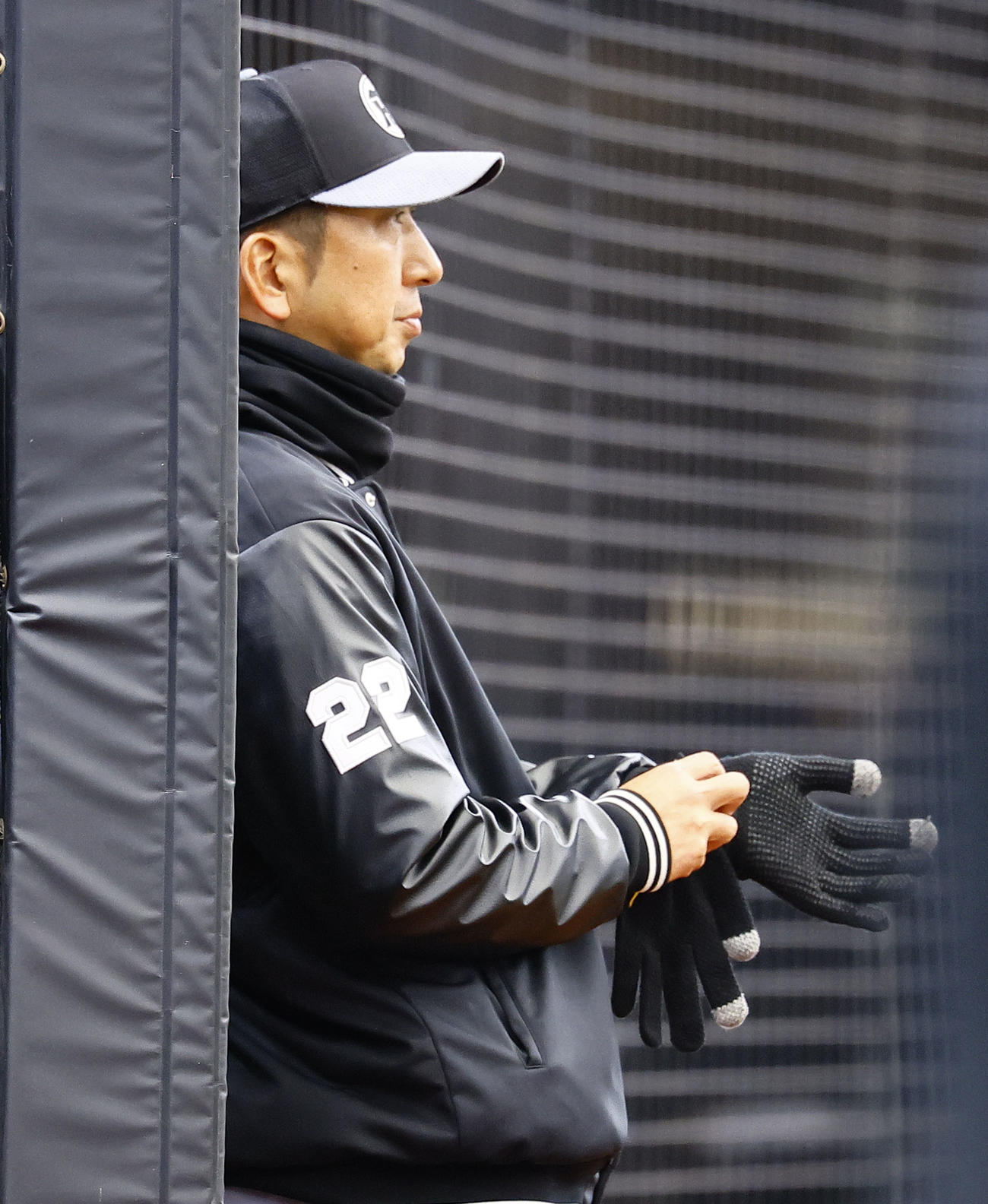 西武対阪神　練習を見つめなから、手袋をする阪神藤川監督（撮影・藤尾明華）