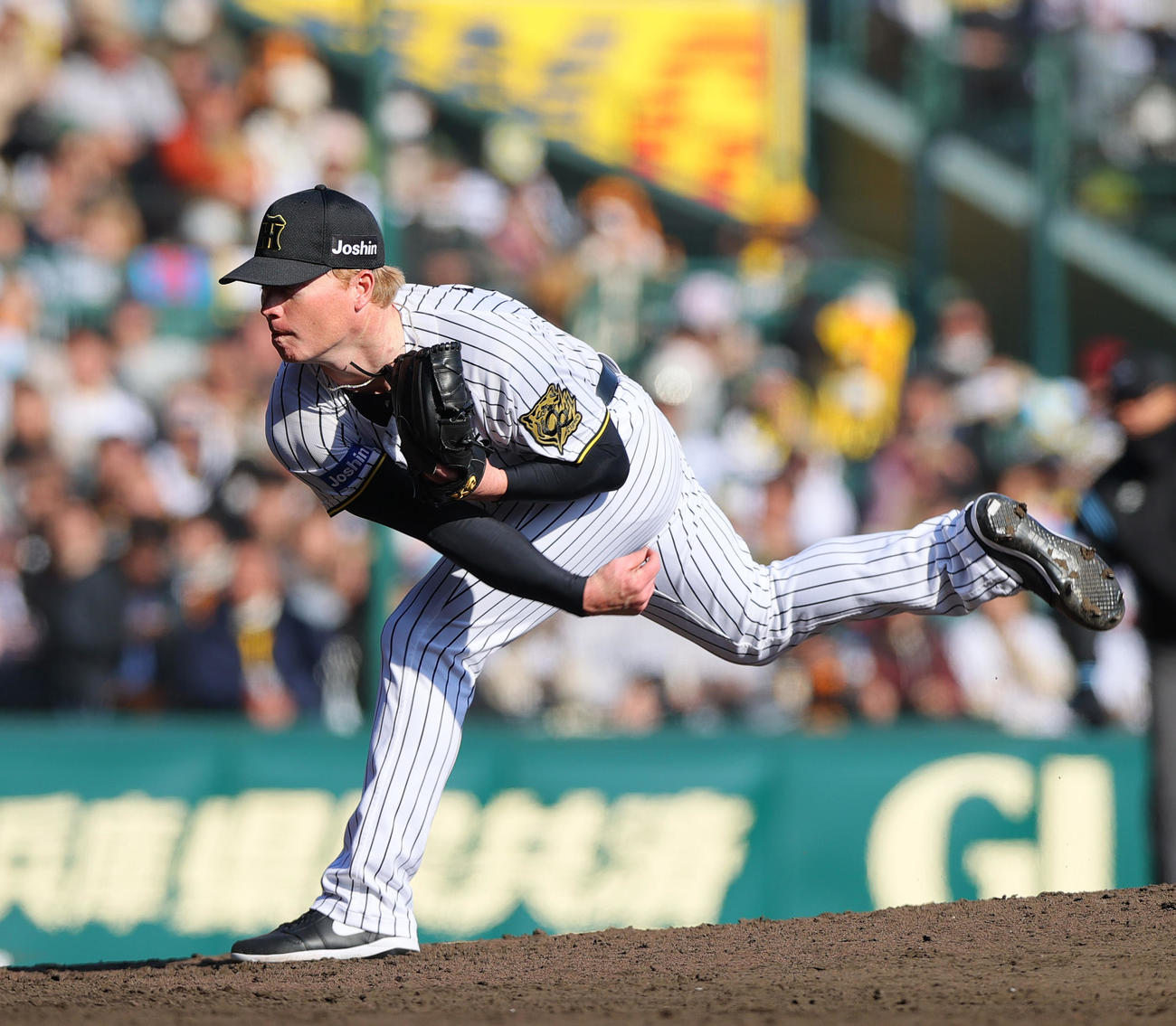 阪神対巨人　8回表、阪神3番手で登板のネルソン＝2025年3月9日、甲子園球場