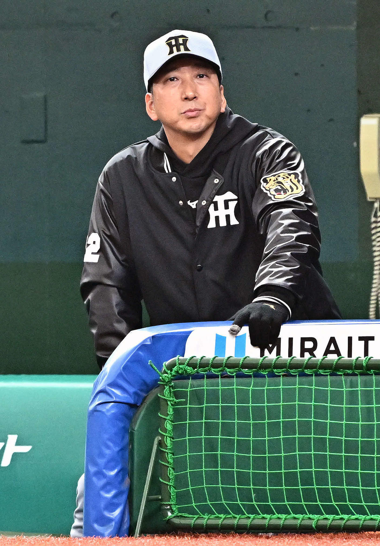 西武対阪神　戦況を見守る阪神藤川監督（撮影・滝沢徹郎）