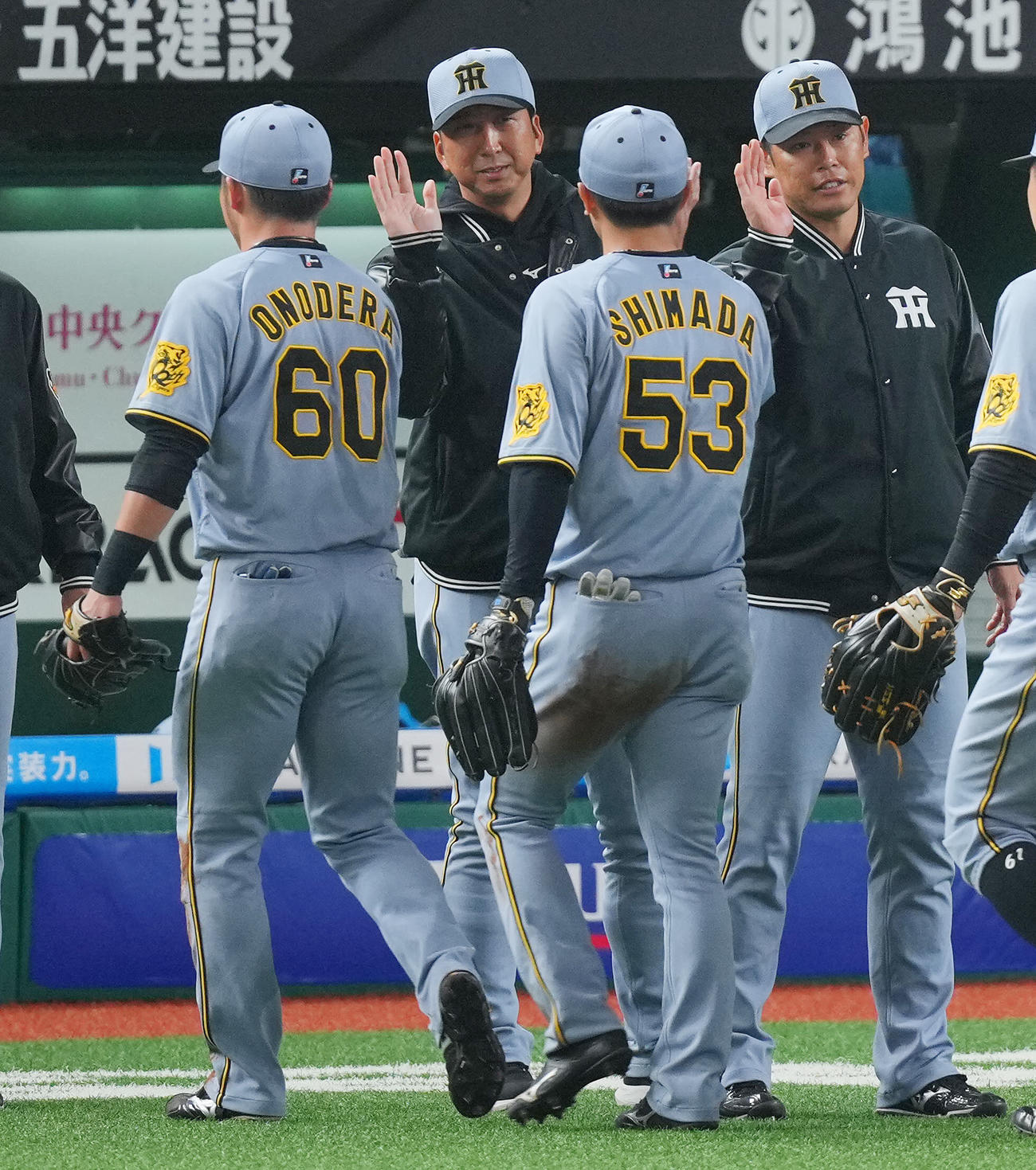 西武対阪神　西武に勝利し島田（53番）らナインとタッチを交わす阪神藤川監督（中央）（撮影・垰建太）