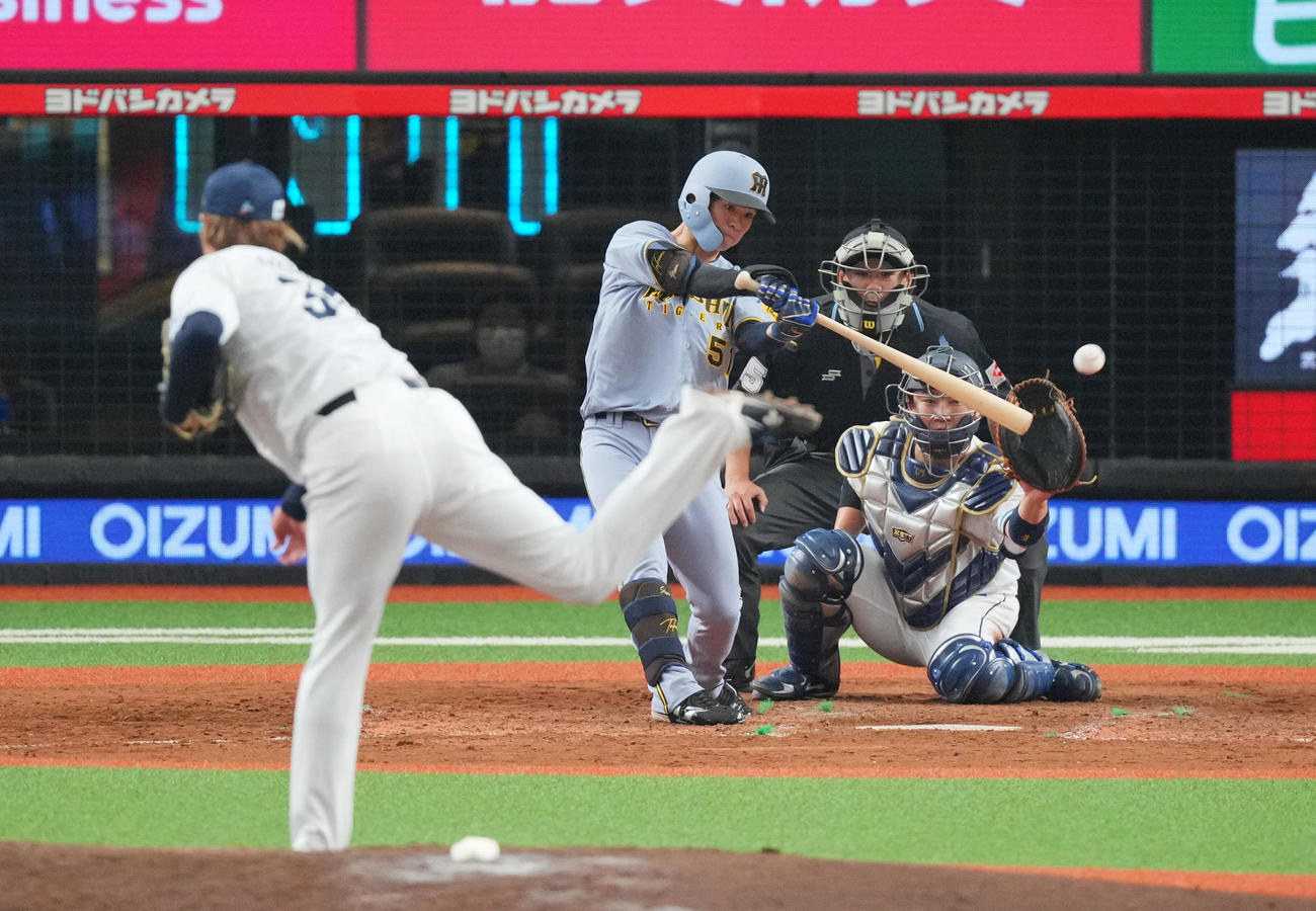 西武対阪神　5回表阪神2死一塁、左前打を放つ中野。投手甲斐野（撮影・垰建太）