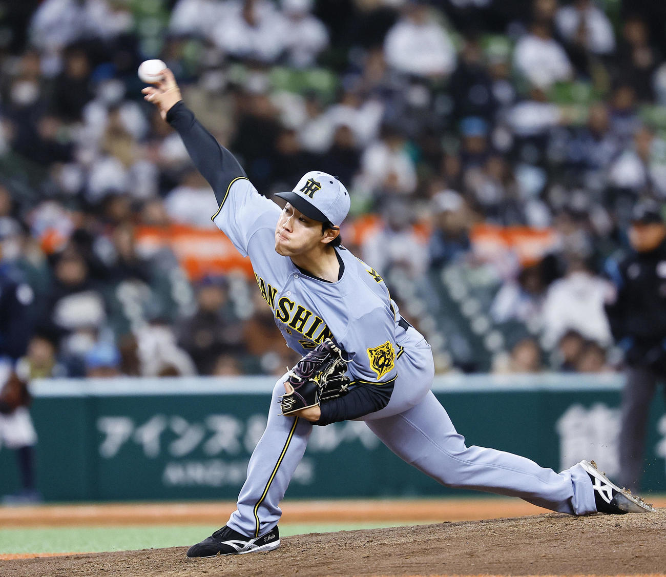 阪神工藤泰成（2025年撮影）
