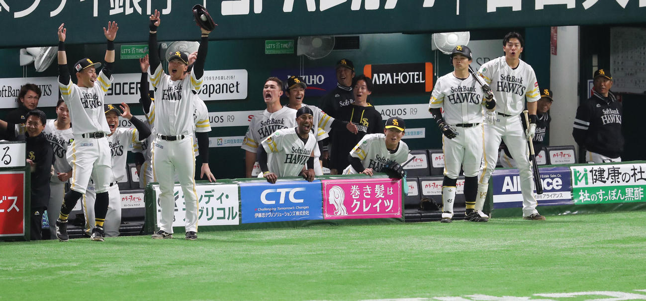 ソフトバンク対巨人　3回裏ソフトバンク1死、川瀬の右越え先制本塁打で盛り上がるソフトバンクナイン（撮影・梅根麻紀）