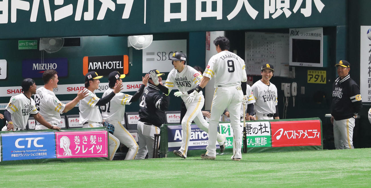 ソフトバンク対巨人　3回裏ソフトバンク1死、川瀬は右越えに先制本塁打を放ちベンチのナインとハイタッチ（撮影・梅根麻紀）
