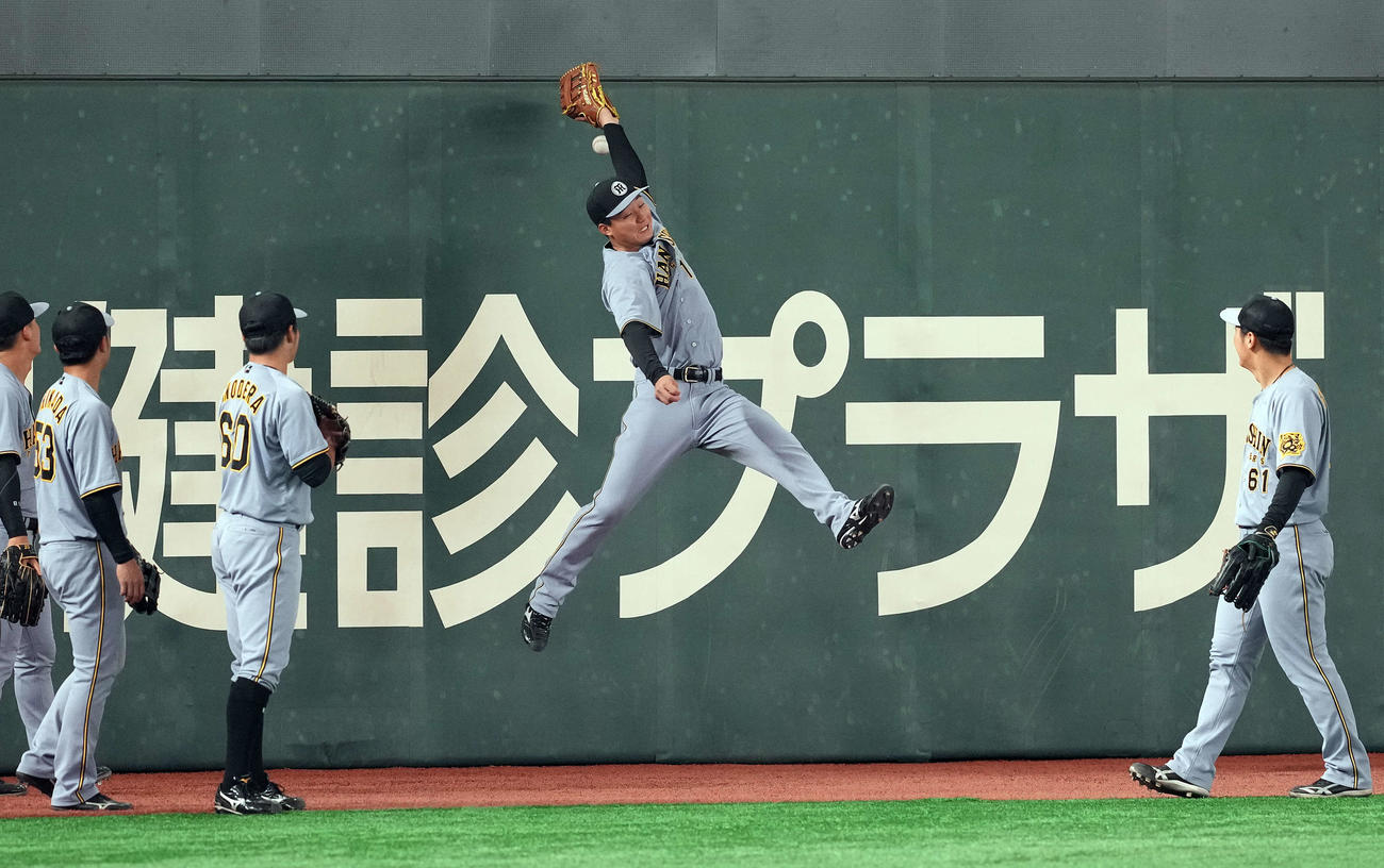 守備練習をする阪神森下（撮影・たえ見朱実）