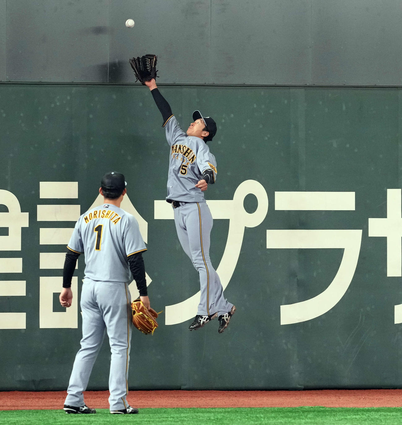 守備練習をする阪神近本（撮影・たえ見朱実）
