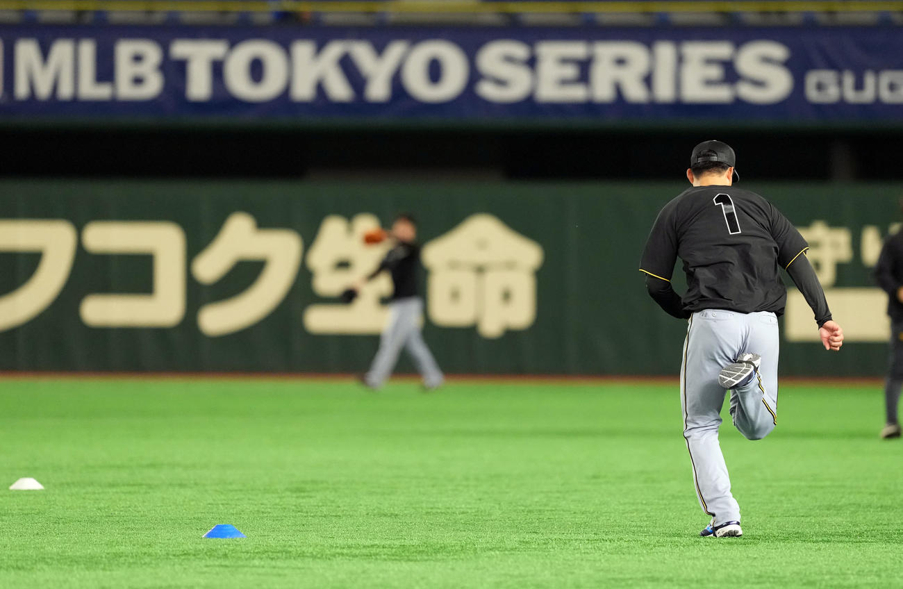 ダッシュを繰り返す阪神森下（撮影・たえ見朱実）