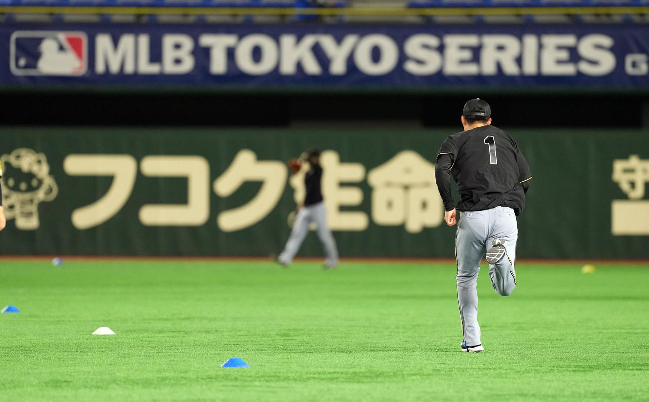 ダッシュを繰り返す阪神森下（撮影・たえ見朱実）