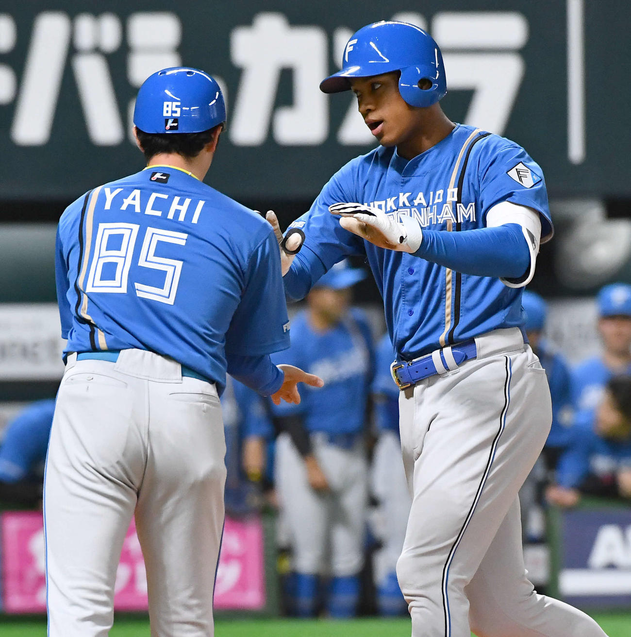 ソフトバンク対日本ハム　2回表日本ハム1死、同点左越え本塁打を放ち、谷内コーチ（左）とハイタッチする万波（撮影・岩下翔太）