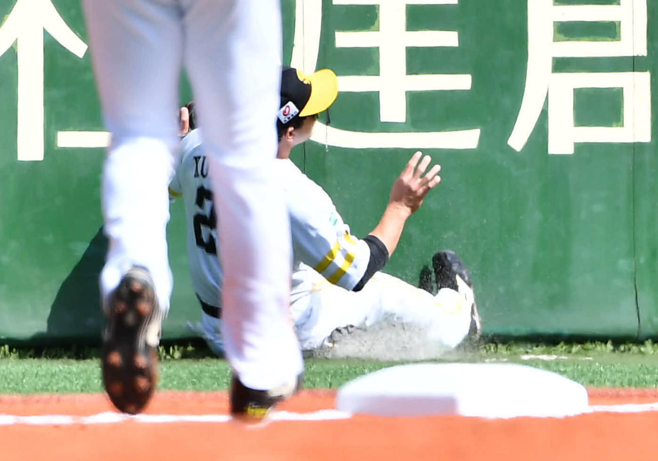 ソフトバンク対巨人　2回表巨人無死二塁、中山の飛球を追いかけ、フェンスに衝突する三塁手の栗原（2025年3月11日撮影）