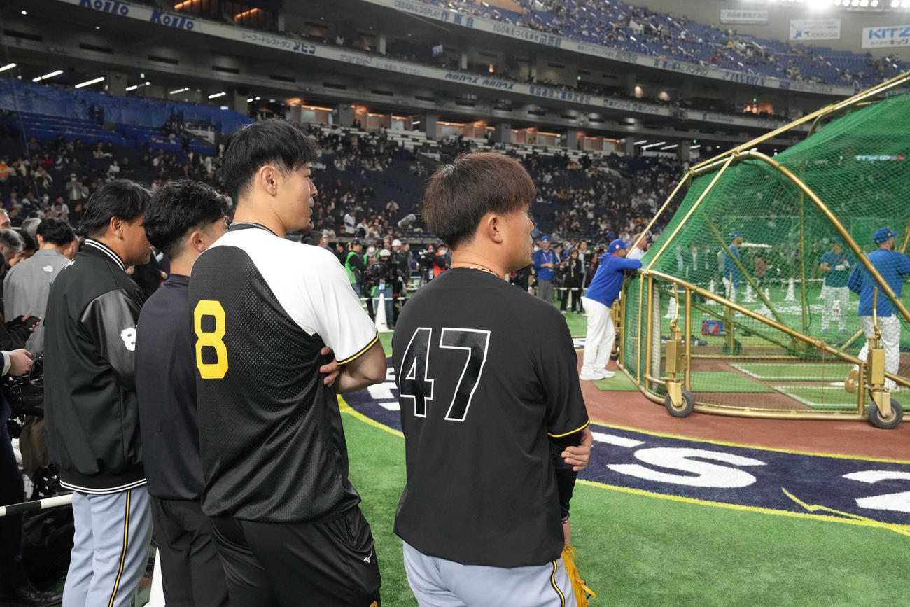 カブスの試合前練習を見つめる阪神ナイン。右から2人目は佐藤輝（撮影・小沢裕）