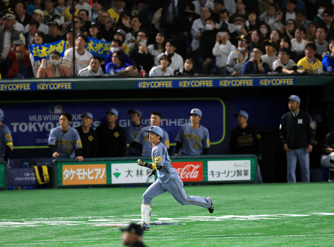 阪神対カブス　3回裏阪神2死三塁、近本は右越え先制適時二塁打を放ち、打球を見つめながら走る（撮影・浅見桂子）