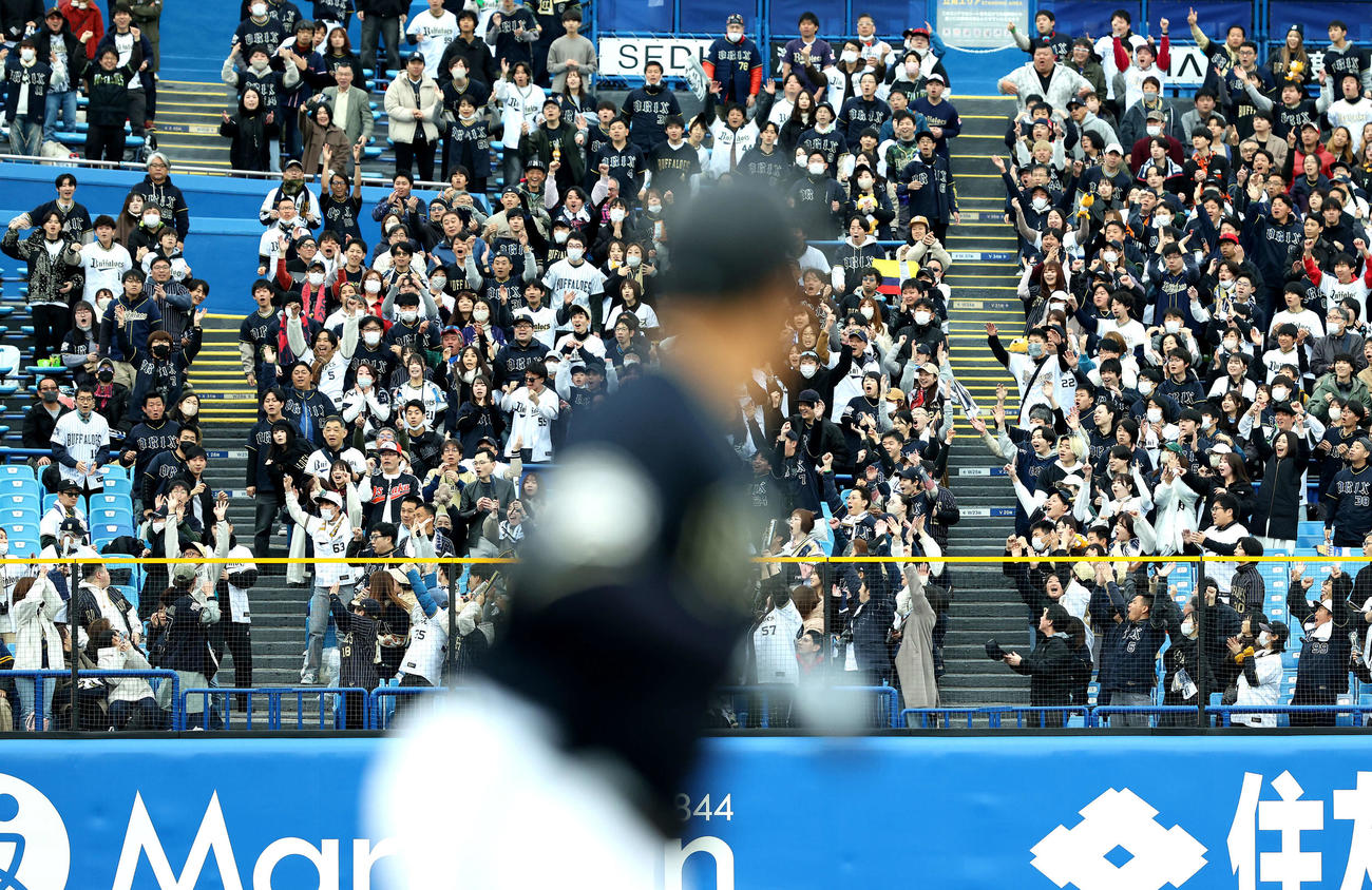 ヤクルト対オリックス　2回表オリックス無死、ディアスの左越え先制ソロ本塁打で盛り上がるファン（撮影・河田真司）