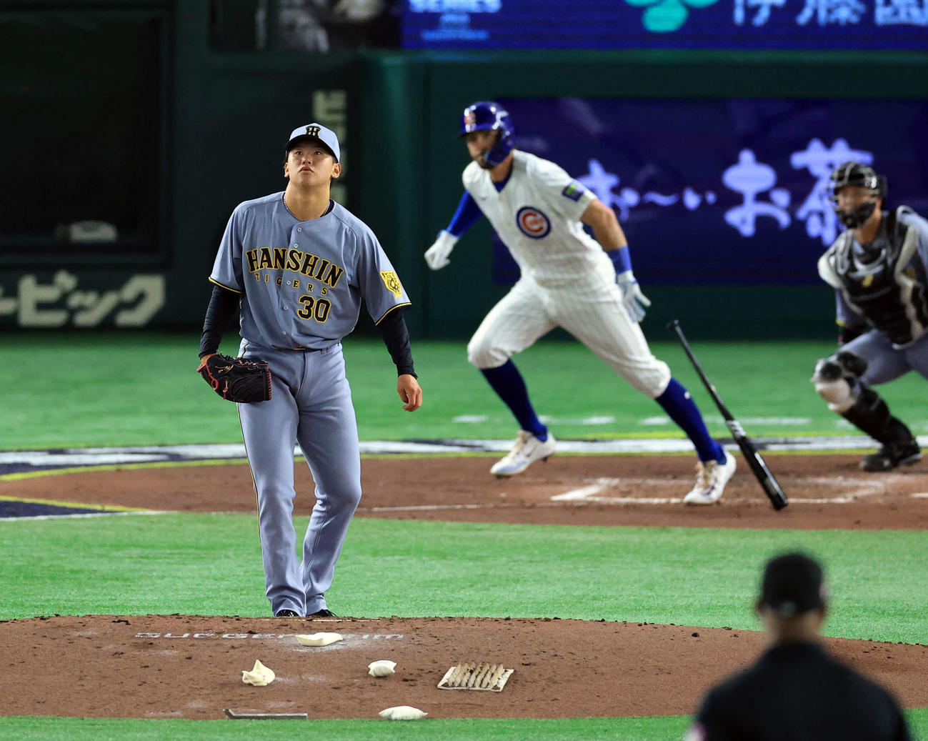阪神対カブス　5回表カブス2死、スワンソンを二直に仕留め打球を見る門別（撮影・浅見桂子）