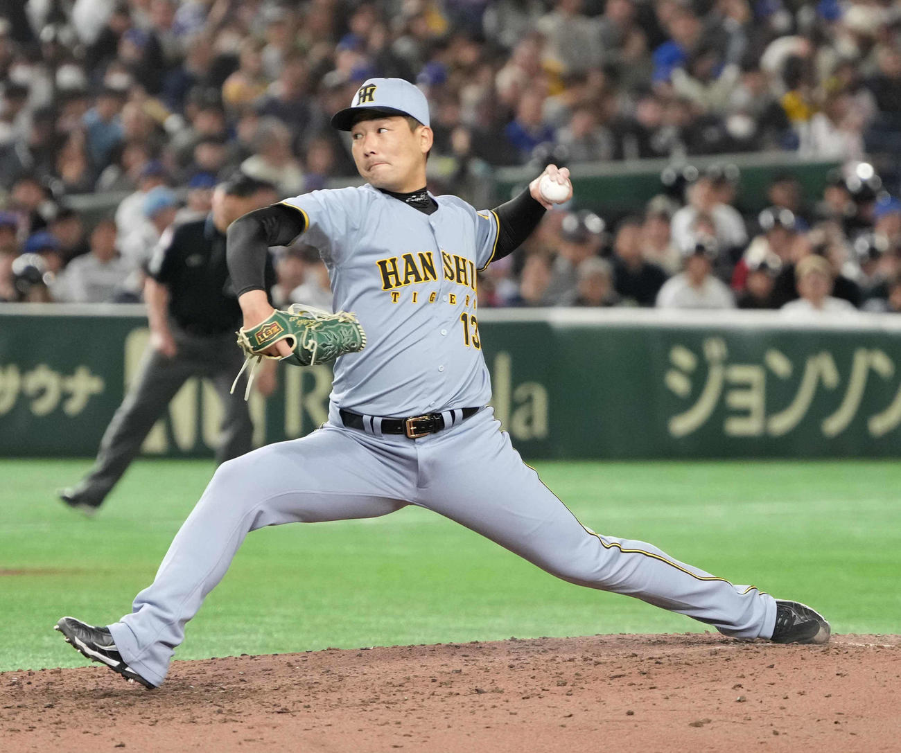阪神対カブス　阪神5番手で登板した岩崎（撮影・小沢裕）