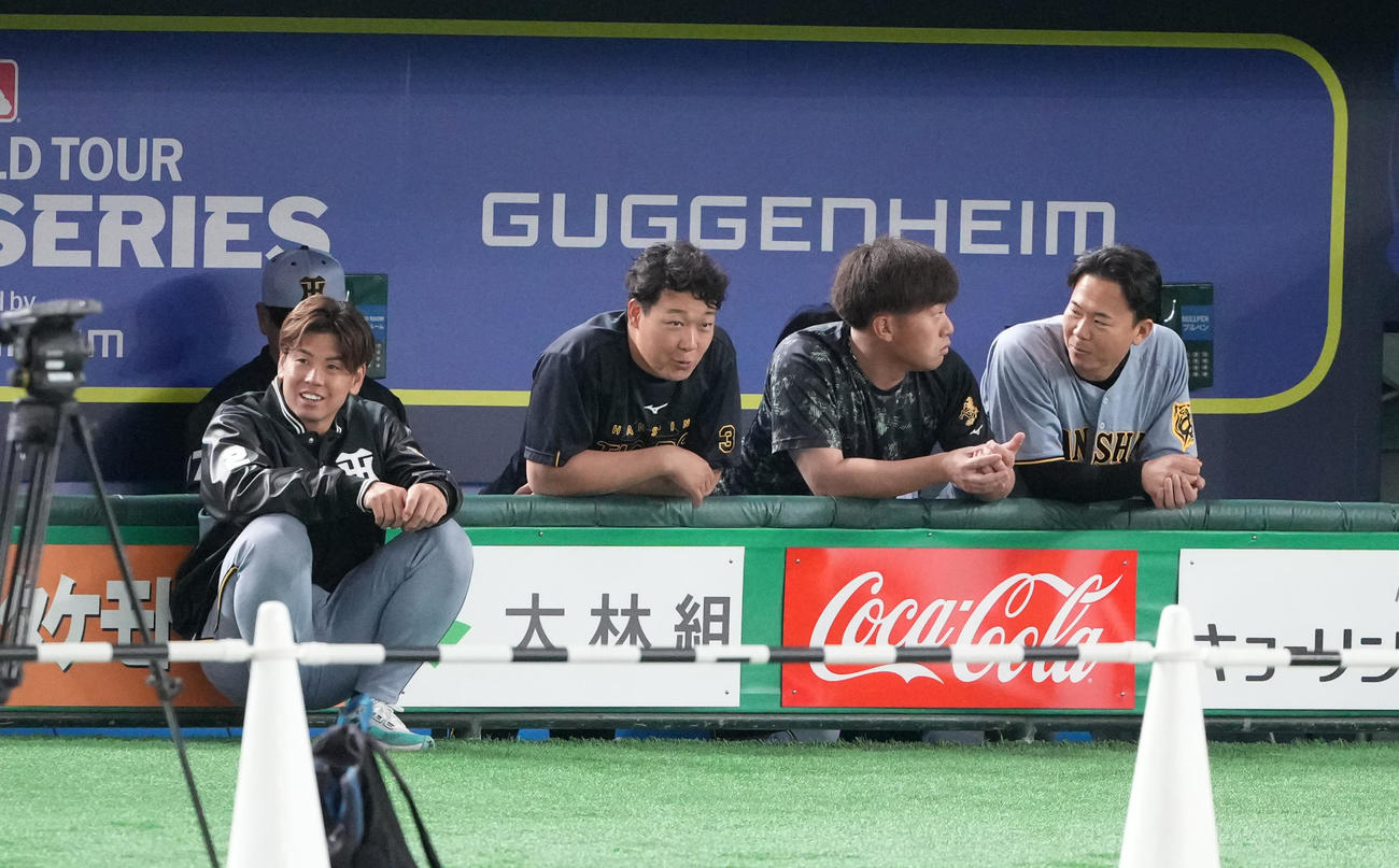 阪神対ドジャース　ドジャースの練習を見る阪神梅野（左）、大山（左から2人目）ら（撮影・鈴木みどり）