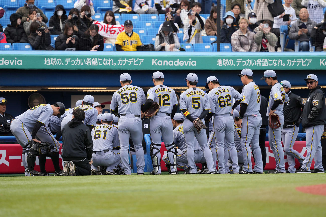 ヤクルト対阪神　試合前、円陣を組む阪神ナイン（撮影・井上学）
