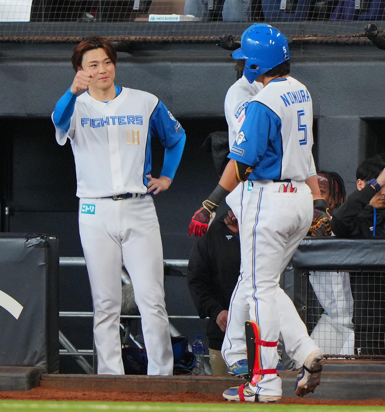 日本ハム対巨人　5回裏日本ハム2死、左越えソロ本塁打を放った野村（右）をグータッチで迎える山崎（撮影・垰建太）
