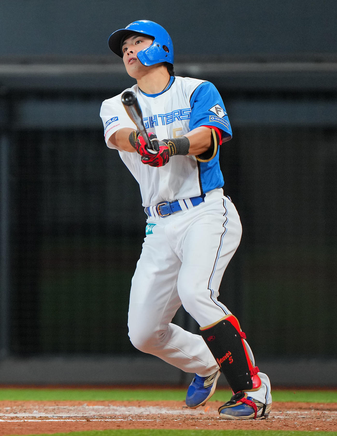 日本ハム対巨人　5回裏日本ハム2死、左越えソロ本塁打を放つ野村（撮影・垰建太）