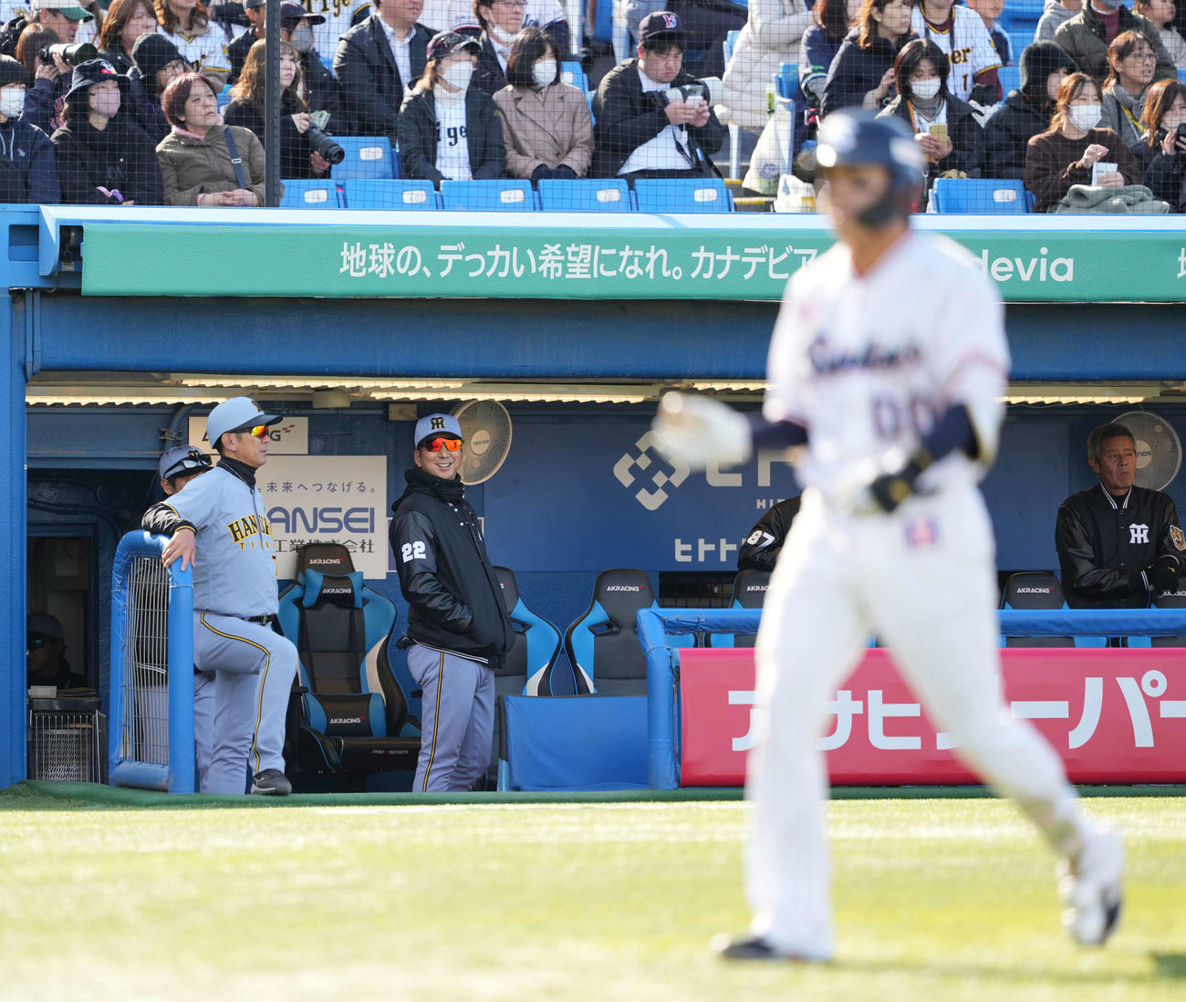 ヤクルト対阪神　6回、ネルソンがベンチに引き揚げ苦笑いの藤川監督（左）（撮影・井上学）