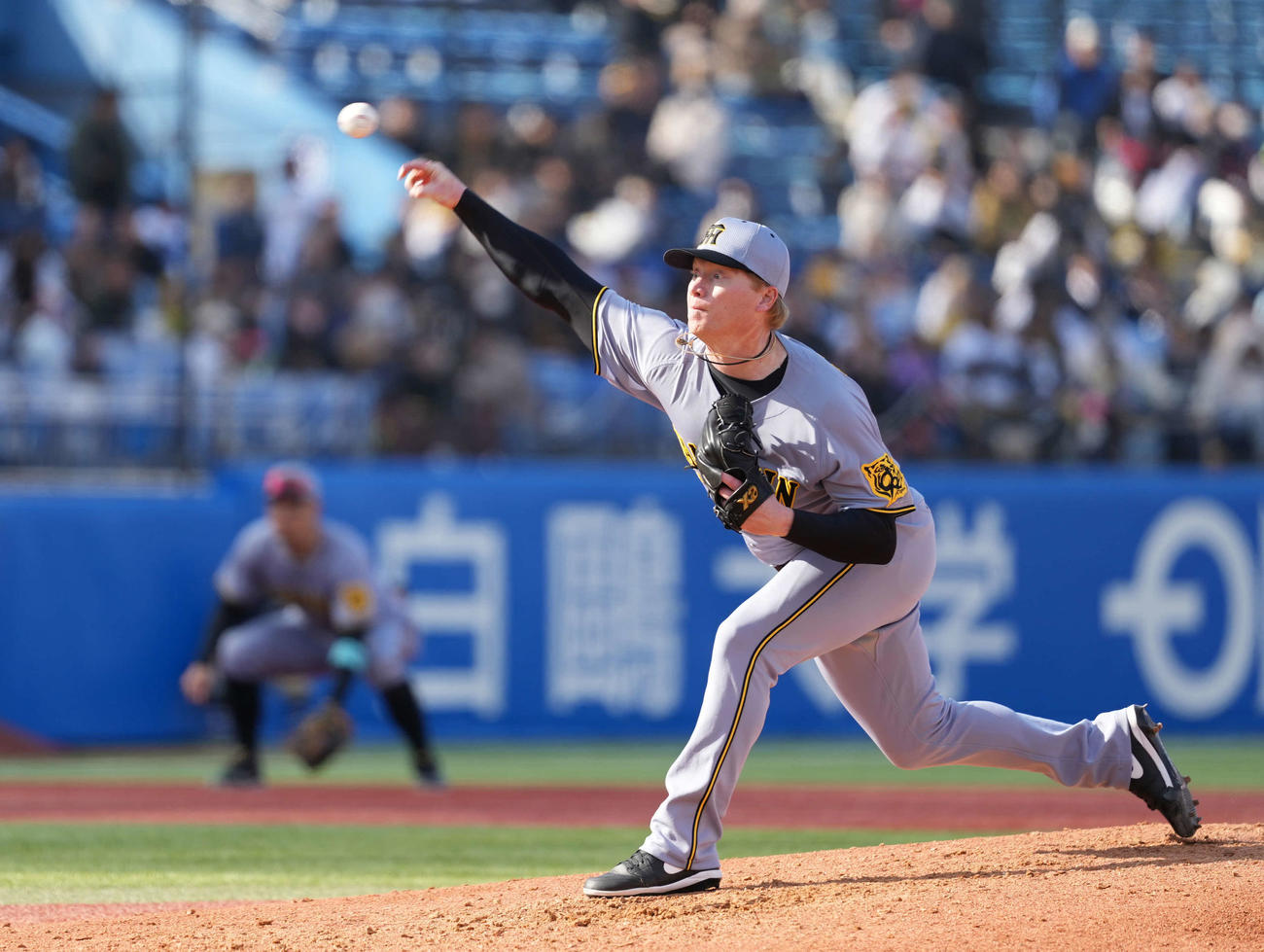 ヤクルト対阪神　力投する阪神ネルソン（撮影・井上学）