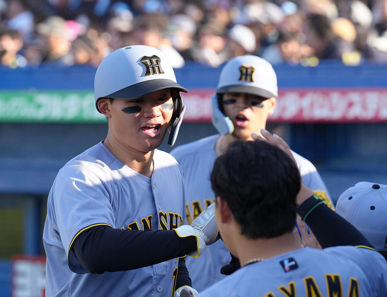ヤクルト対阪神　7回表阪神2死満塁、木浪の2点適時打で生還しタッチを交わす森下（左）と佐藤輝（撮影・足立雅史）