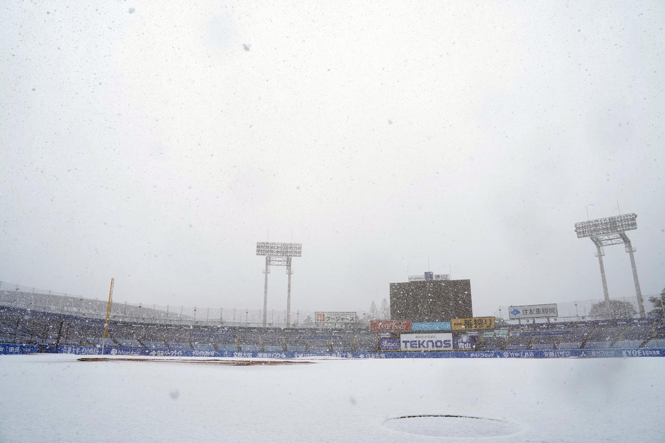 雪が降りしきる神宮球場（撮影・たえ見朱実）