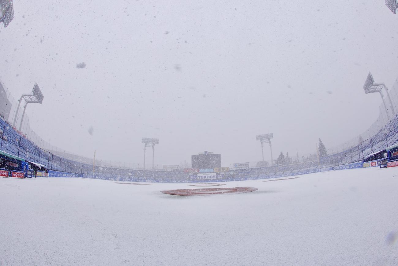 ヤクルト対阪神　雪が積もる神宮球場（撮影・河田真司）