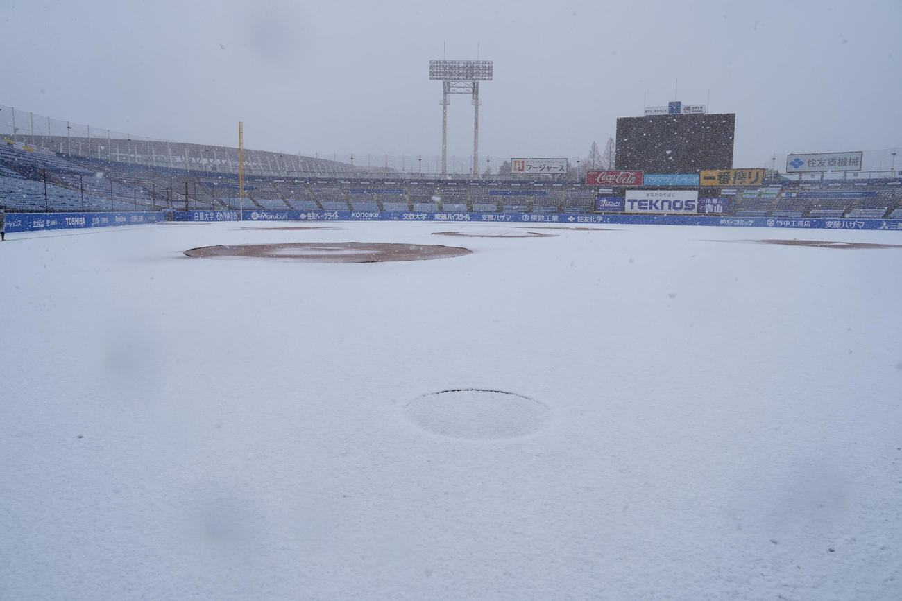 雪が降りしきる神宮球場（撮影・たえ見朱実）