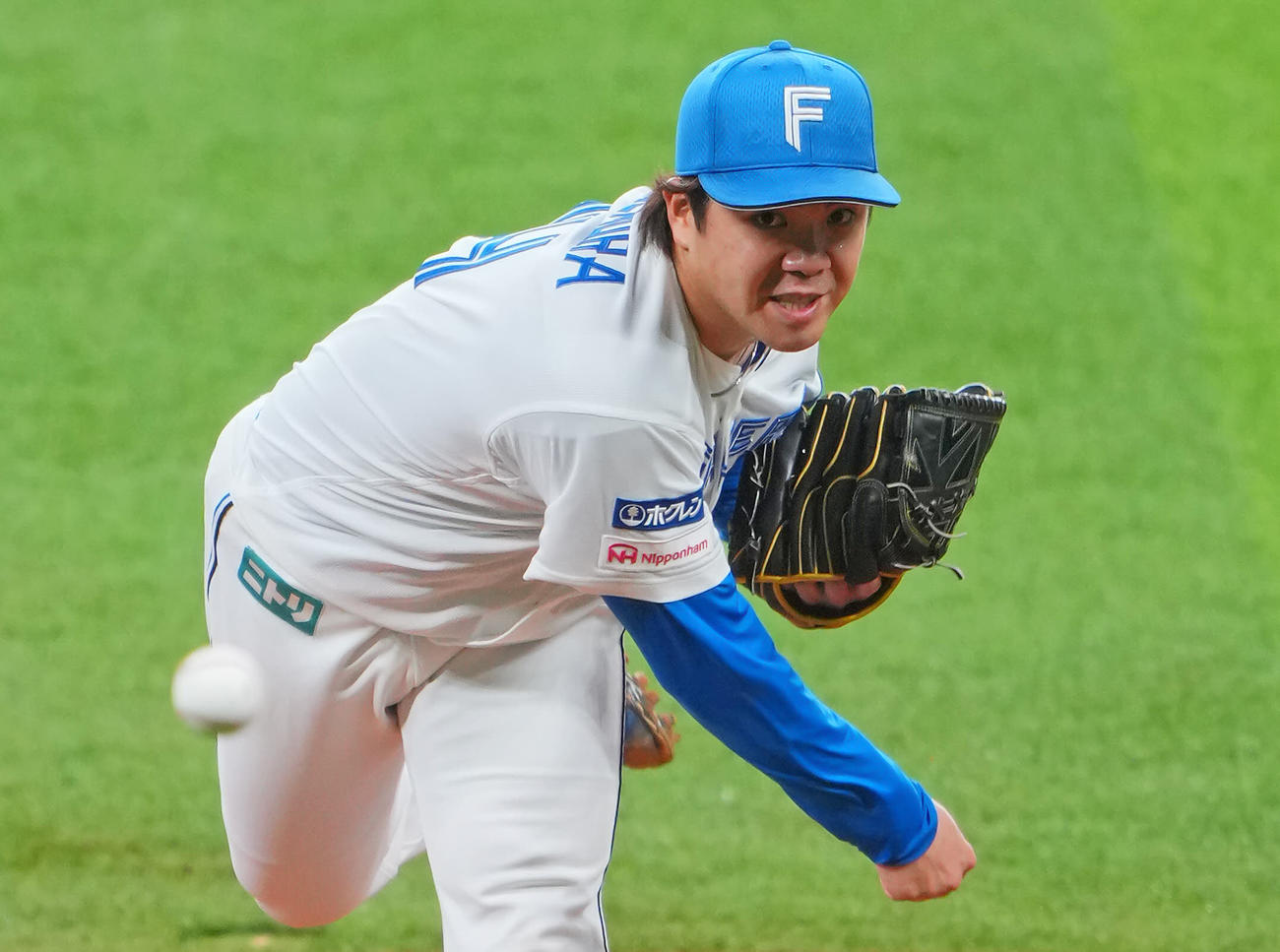日本ハム対巨人　力投する日本ハム先発の金村（撮影・垰建太）